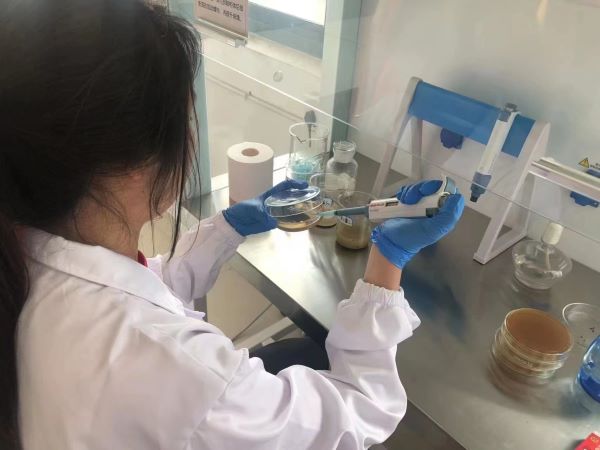 聚焦微生物技術，助力重金屬土壤修復