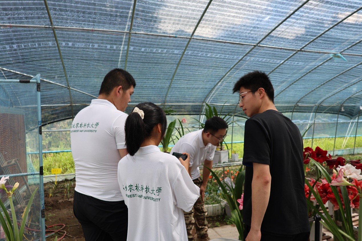 青年返鄉創業激活鄉村新動能——西北農林科技大學資源環境學院赴福建壽寧調研“新農人”實踐