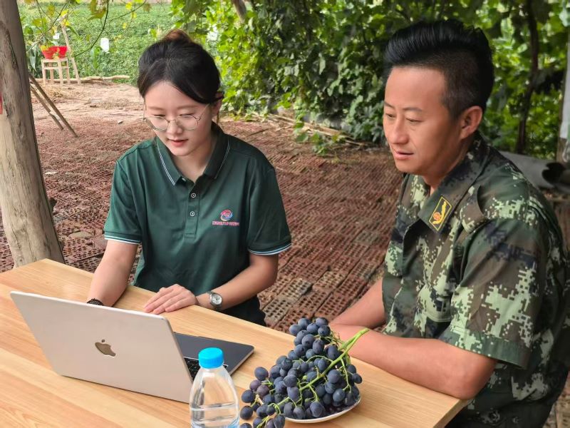 推普助農顯擔當，湖師青年共繪振興圖——“從‘浙’啟航，語潤新藏”實踐團開展推普助力鄉村振興實踐活動