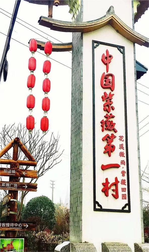 “新路”、“興路”、“心路”——以陳家渡村為例探討