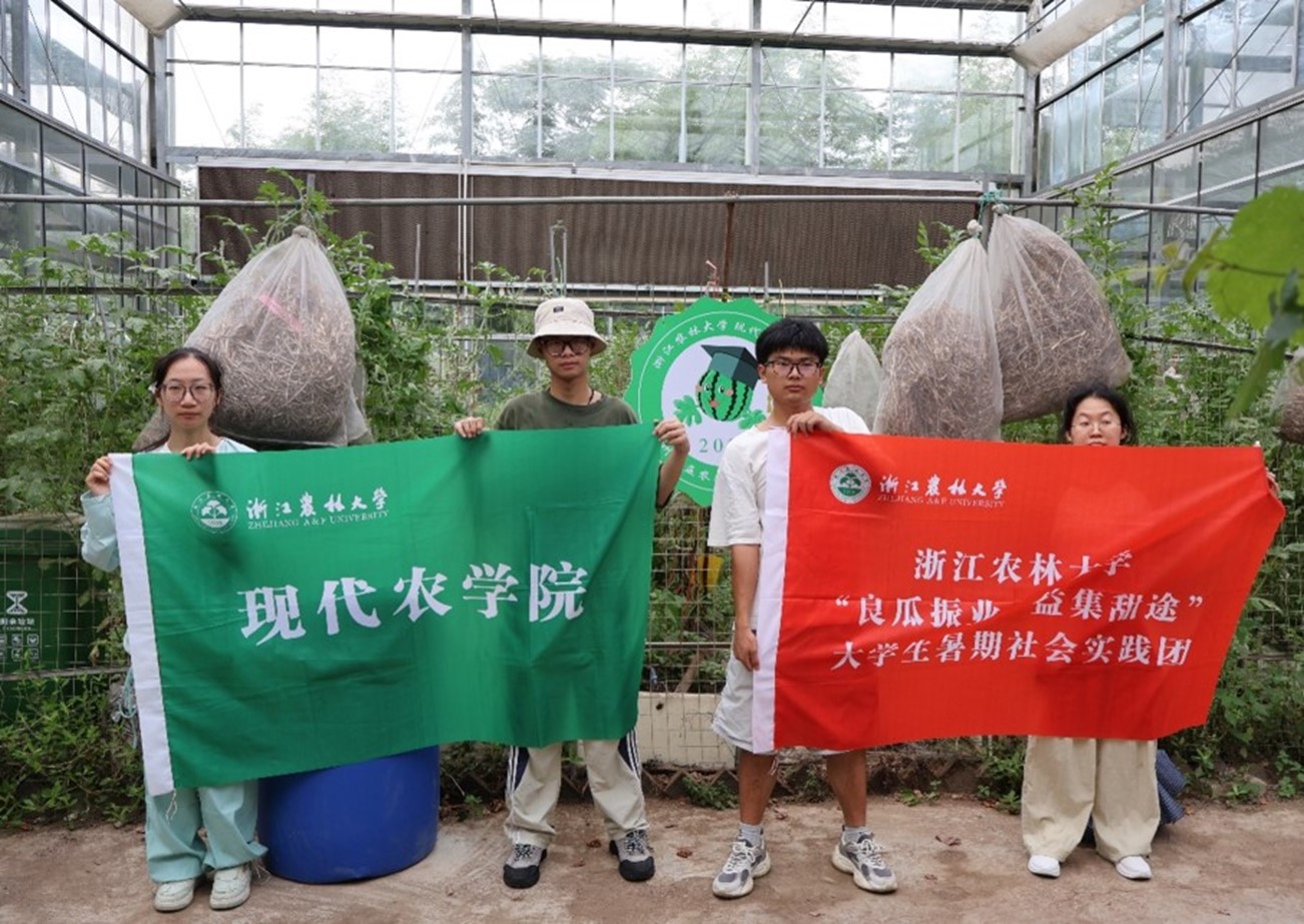 "良瓜振業?益集甜途"實踐團田間課堂：科技支農助力西瓜產業提質增效