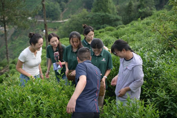 哇塞！實踐團走進紫陽茶鄉，用推普為茶產業“瘋狂打call”！
