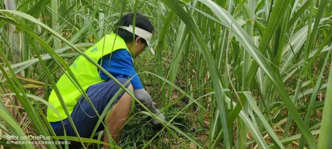 三下鄉：服務隊深入田間助農，共同促進鄉村振興