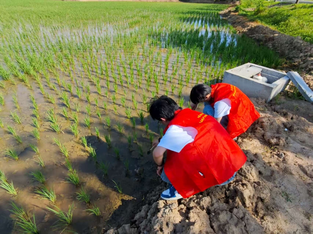 江蘇省大學生在行動江蘇第二師范學院“綠野和弦，鄉土共生”小分隊開展系列環保科普活動