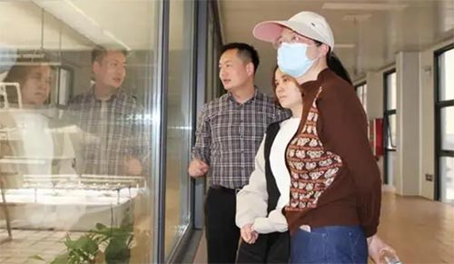 探秘“豆”文化——鄭州市金水區(qū)四月天小學社會實踐活