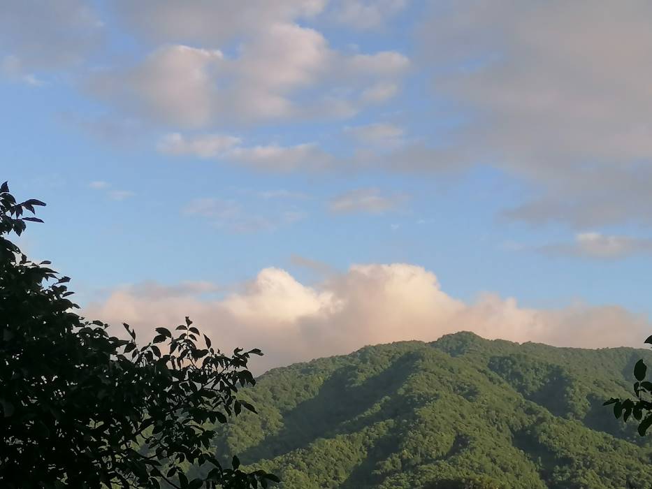 穿梭千年，文物“活”在當下 ——蘇州大學“哲學+”實踐團走進天水市仙人崖石窟