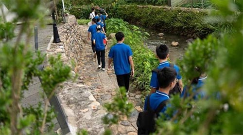 集大輪機學子三下鄉(xiāng)，見證鄉(xiāng)村振興的璀璨成果