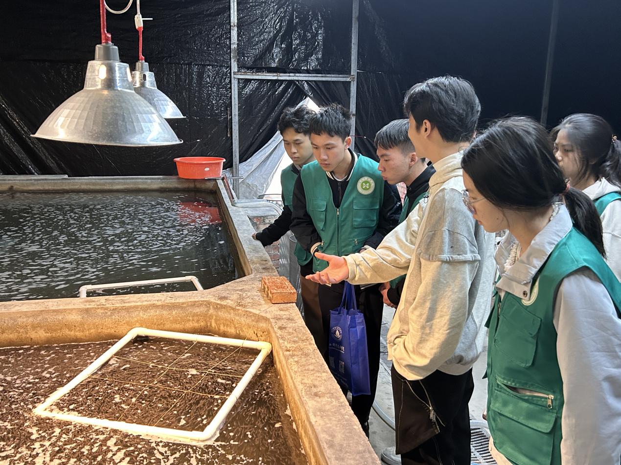 佛山大學(xué)“漁”躍鄉(xiāng)村實踐團：走進恒強水產(chǎn)，探尋漁業(yè)發(fā)展新脈絡(luò)