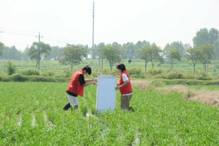 兩日兩鎮(zhèn)探農(nóng)情，青春聚力助振興 ——南農(nóng)GEF小分隊六合實踐紀實