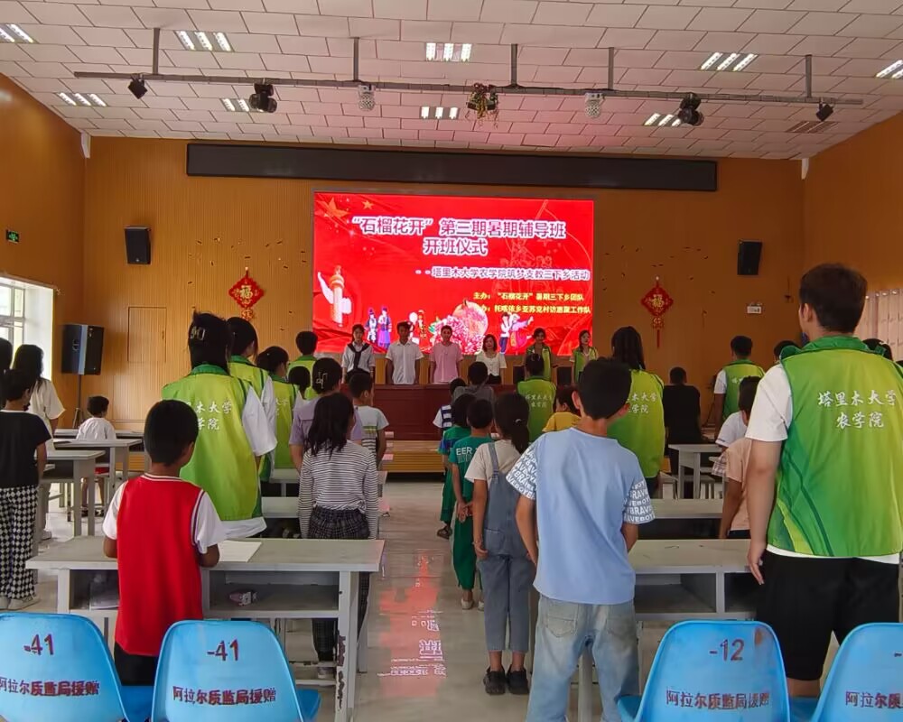 南疆學子三下鄉:懷青春之志，助鄉村振興